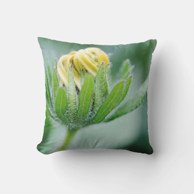 Öppningsblomma av kolvstav kudde (Framsida)