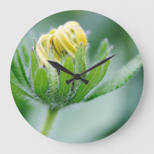 Öppningsblomma av kolvstav stor klocka