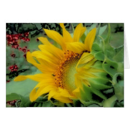 Öppningsdag - Solros Hälsningskort