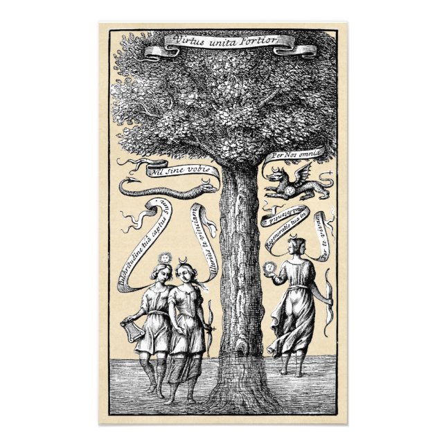 Oppositionsförbundet i Medieval Alchemy Fototryck (Framsidan)