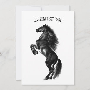 Opright Black Vild Horse - Black and White Tecknin