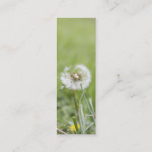 Optimismsmalavisitkort