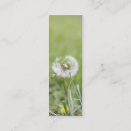 Optimismsmalavisitkort Mini Visitkort