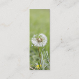 Optimismsmalavisitkort Mini Visitkort