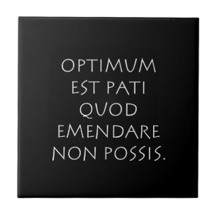 Optimum est pati quod emendare non posare kakelplatta