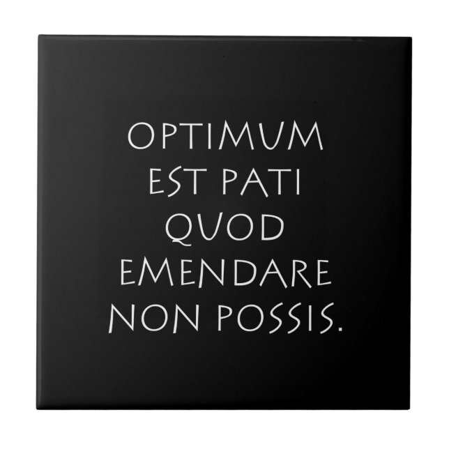 Optimum est pati quod emendare non posare kakelplatta (Framsidan)