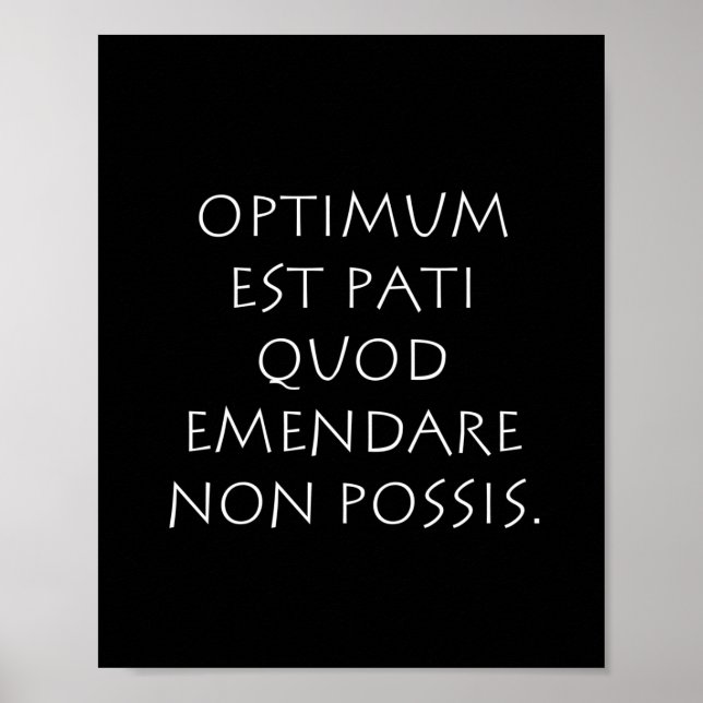 Optimum est pati quod emendare non posare poster (Framsidan)