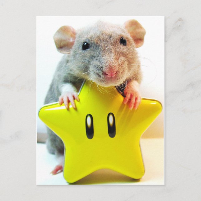 Optimus Star Vykort (Framsida)