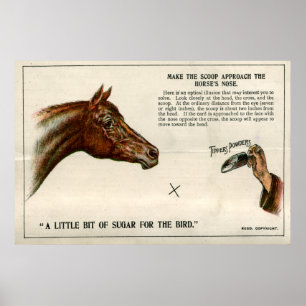 Optisk illusion 1896 poster