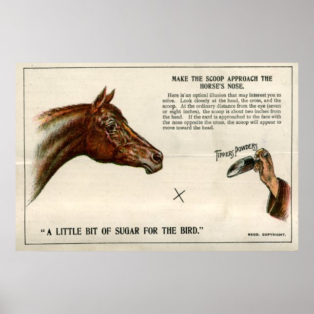 Optisk illusion 1896 poster (Framsidan)