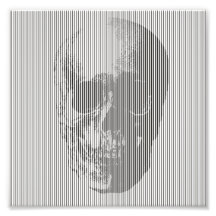 Optisk illusionskalle