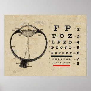 Optometri Poster ftalmolog Öga-diagram