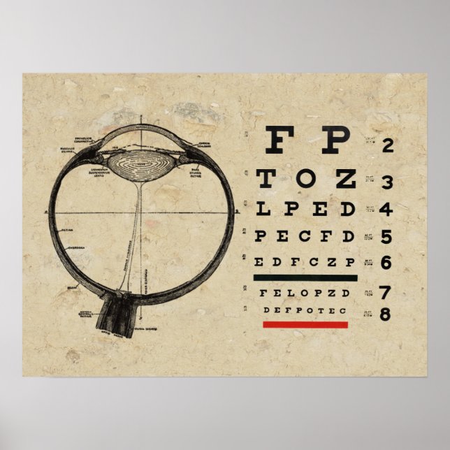 Optometri Poster ftalmolog Öga-diagram (Framsidan)