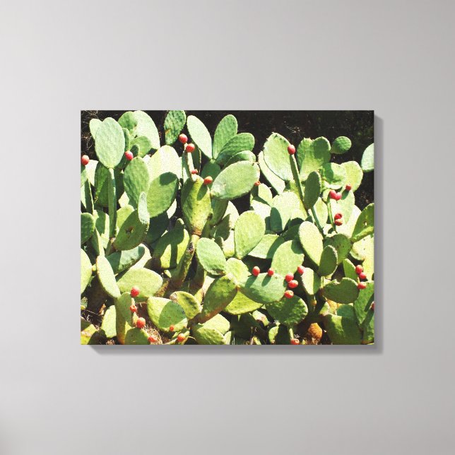 Opuntia Canvastryck (Framsida)