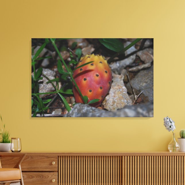Opuntia på stenar canvastryck (Insitu (Vardagsrum))