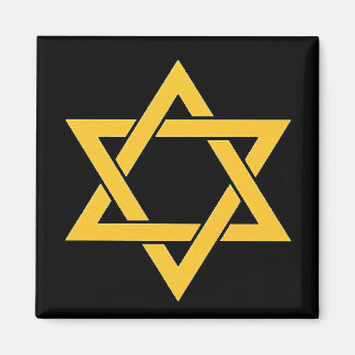 OPUS CHANGEABLE Star of David Magnet