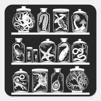 OPUS Curiosity Cabinet Fyrkantigt Klistermärke