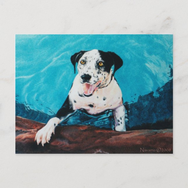 OPUS VYKORT (Framsida)