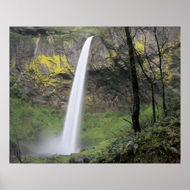 OR, Columbia River Gorge, Elowah Falls, McCord Poster (Framsidan)