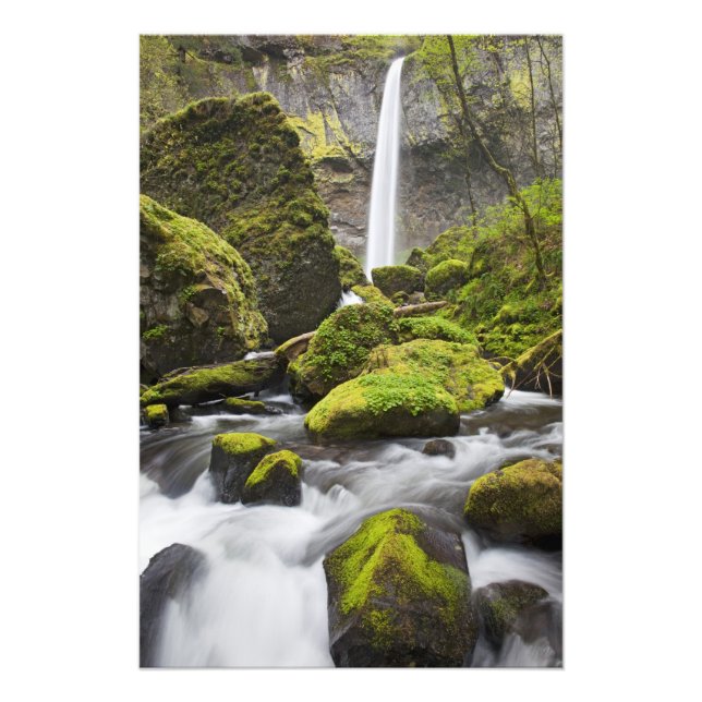 OR, Columbia River Gorge, Elowah Falls och Fototryck (Framsidan)