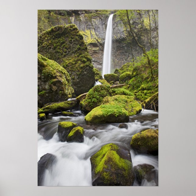 OR, Columbia River Gorge, Elowah Falls och Poster (Framsidan)
