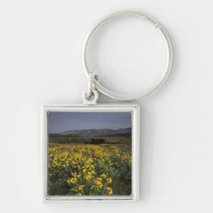 OR, Columbia River Gorge, Rowena Plateau, Tom Fyrkantig Silverfärgad Nyckelring