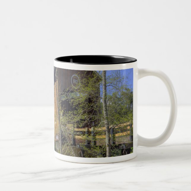 OR, Jackson County, McKee Överbyggda bro Två-Tonad Mugg (Höger)