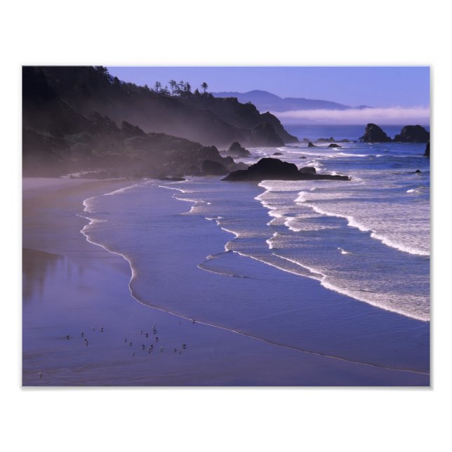 OR, Oregon Coast, Ecola SP, Indian Beach med Fototryck (Framsidan)