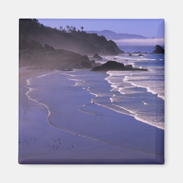OR, Oregon Coast, Ecola SP, Indian Beach med Magnet (Framsidan)