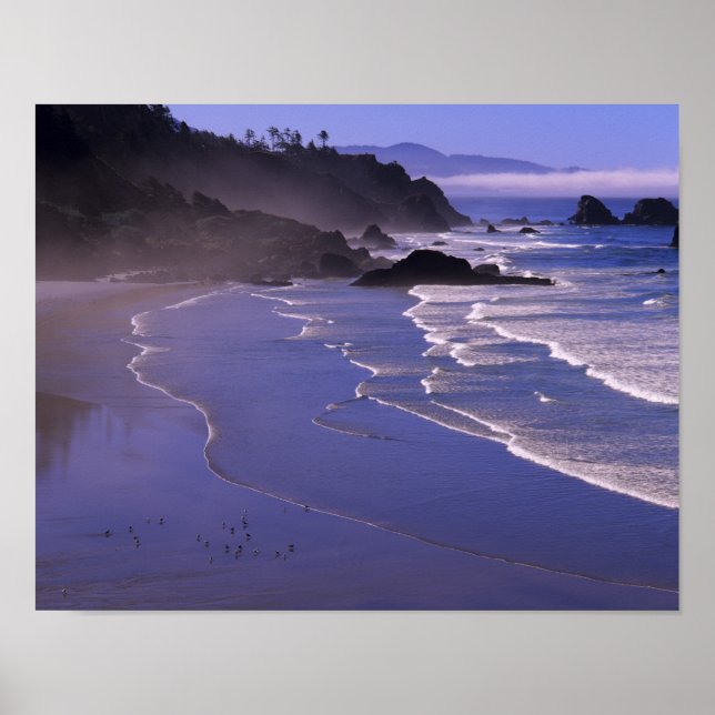 OR, Oregon Coast, Ecola SP, Indian Beach med Poster (Framsidan)