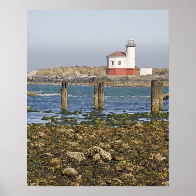 OR, Oregon-kusten, Bandon, Coquille River 2 Poster (Framsidan)