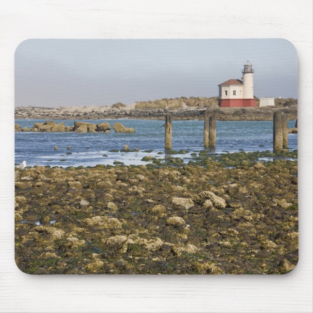 OR, Oregon-kusten, Bandon, Coquille River Musmatta (Framsidan)