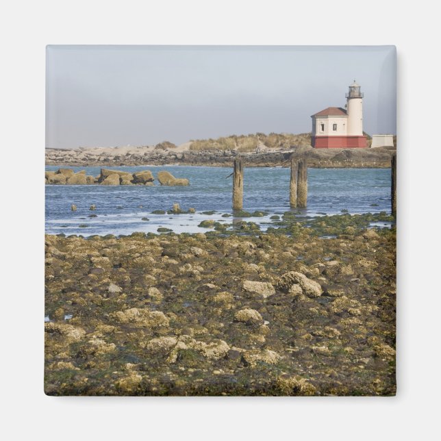 OR, Oregon-kusten, Bandon, Coquillefloden Magnet (Framsidan)
