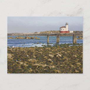 OR, Oregon-kusten, Bandon, Coquillefloden Vykort