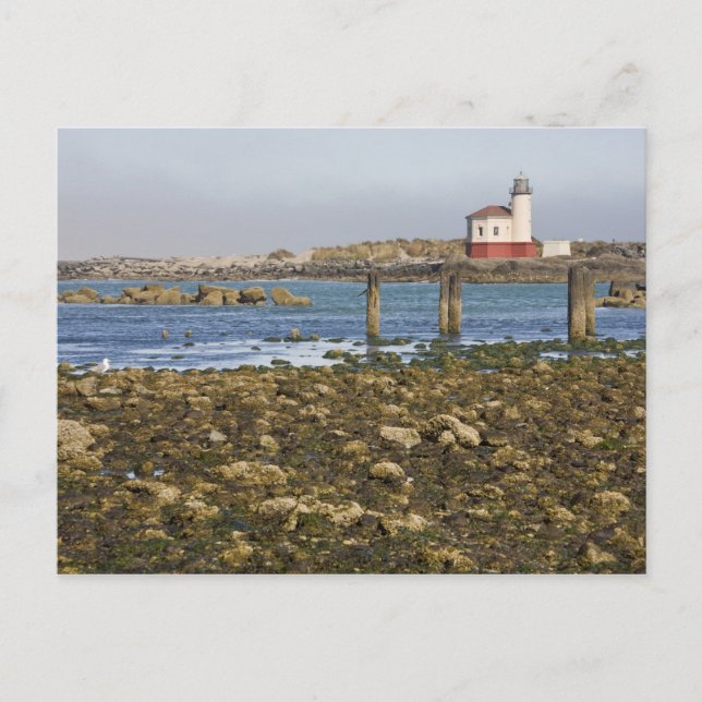 OR, Oregon-kusten, Bandon, Coquillefloden Vykort (Framsida)