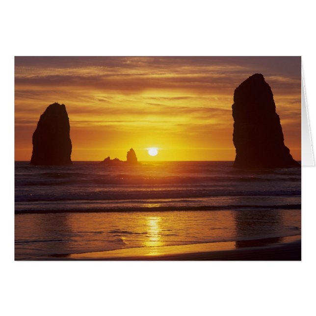 OR, Oregon-kusten, Cannon Beach, havsstackar kl 2 Hälsningskort (Framsidan Horizontal)