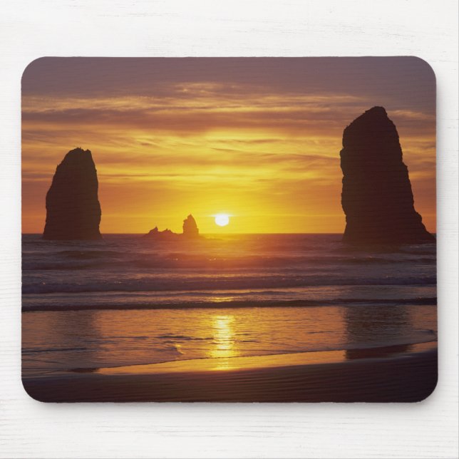 OR, Oregon-kusten, Cannon Beach, havsstackar kl 2 Musmatta (Framsidan)