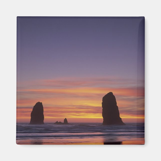 OR, Oregon-kusten, Cannon Beach, havsstackar vid Magnet (Framsidan)