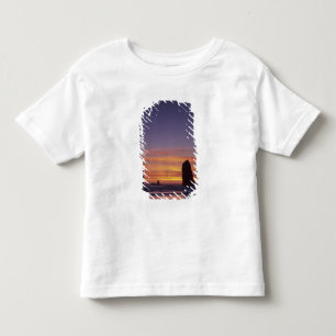 OR, Oregon-kusten, Cannon Beach, havsstaplar vid Tee