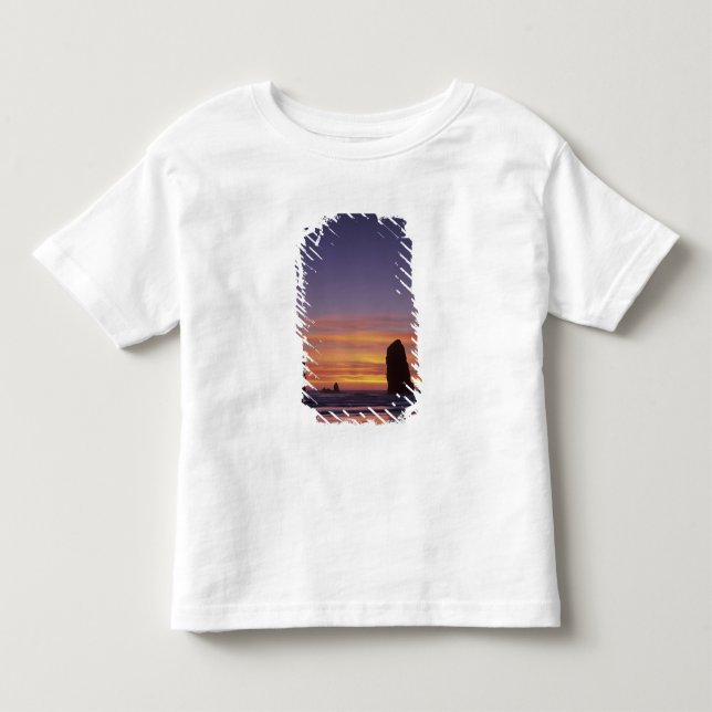 OR, Oregon-kusten, Cannon Beach, havsstaplar vid Tee (Framsida)