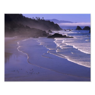 OR, Oregon-kusten, Ecola SP, Indian Beach med Fototryck