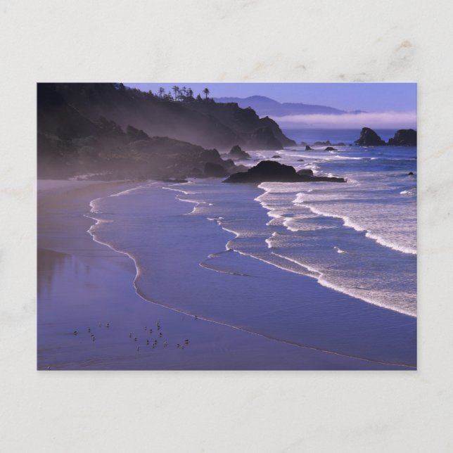 OR, Oregon Kusten, Ecola SP, Indian Beach med Vykort (Framsida)