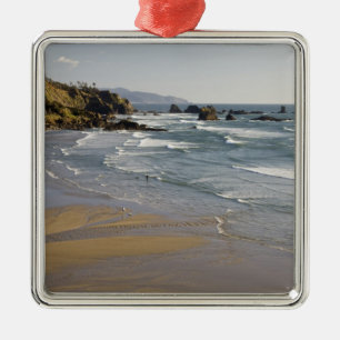 OR, Oregon-kusten, Ecola State Park, Indian Julgransprydnad Metall