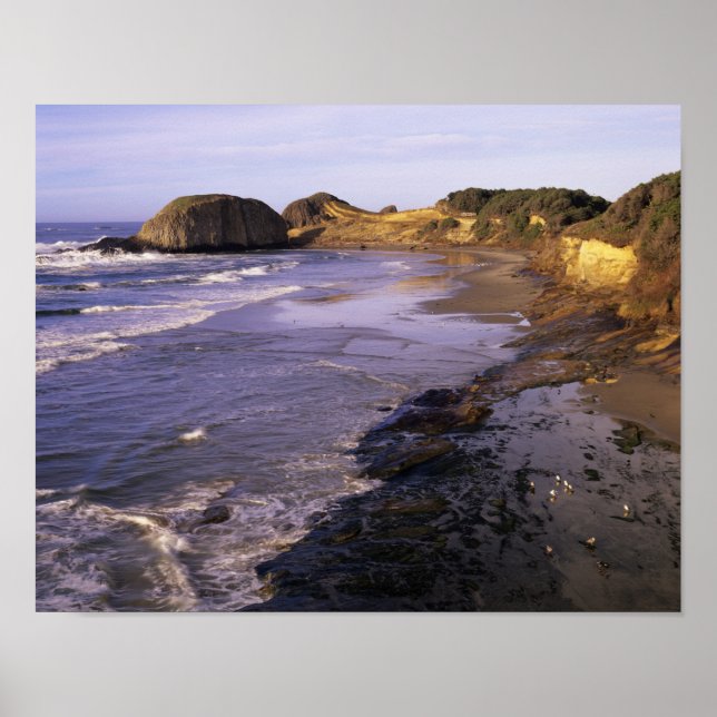 OR, Oregon Kusten, Newport, kustlinje vid försegli Poster (Framsidan)