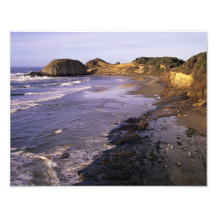OR, Oregon-kusten, Newport, strandlinje vid Seal Fototryck