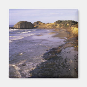 OR, Oregon-kusten, Newport, strandlinje vid Seal Magnet