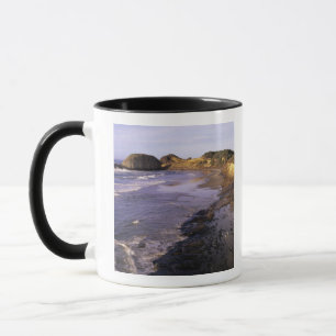 OR, Oregon-kusten, Newport, strandlinje vid Seal Mugg