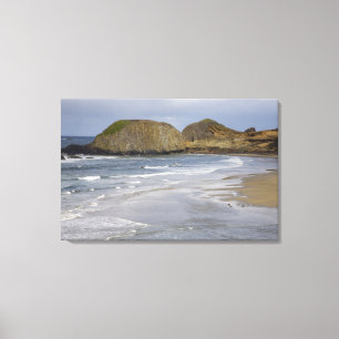 OR, Oregon-kusten, Seal Rock State Park, Canvastryck