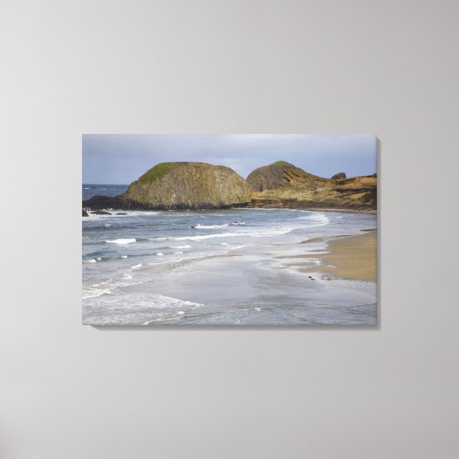 OR, Oregon-kusten, Seal Rock State Park, Canvastryck (Framsida)
