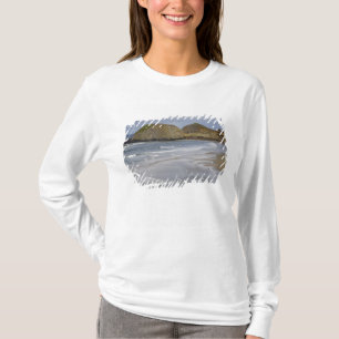 OR, Oregon Kusten, Seal Sten State Park Tee Shirt